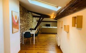 Spacieux Appartement En Plein Coeur De Castres
